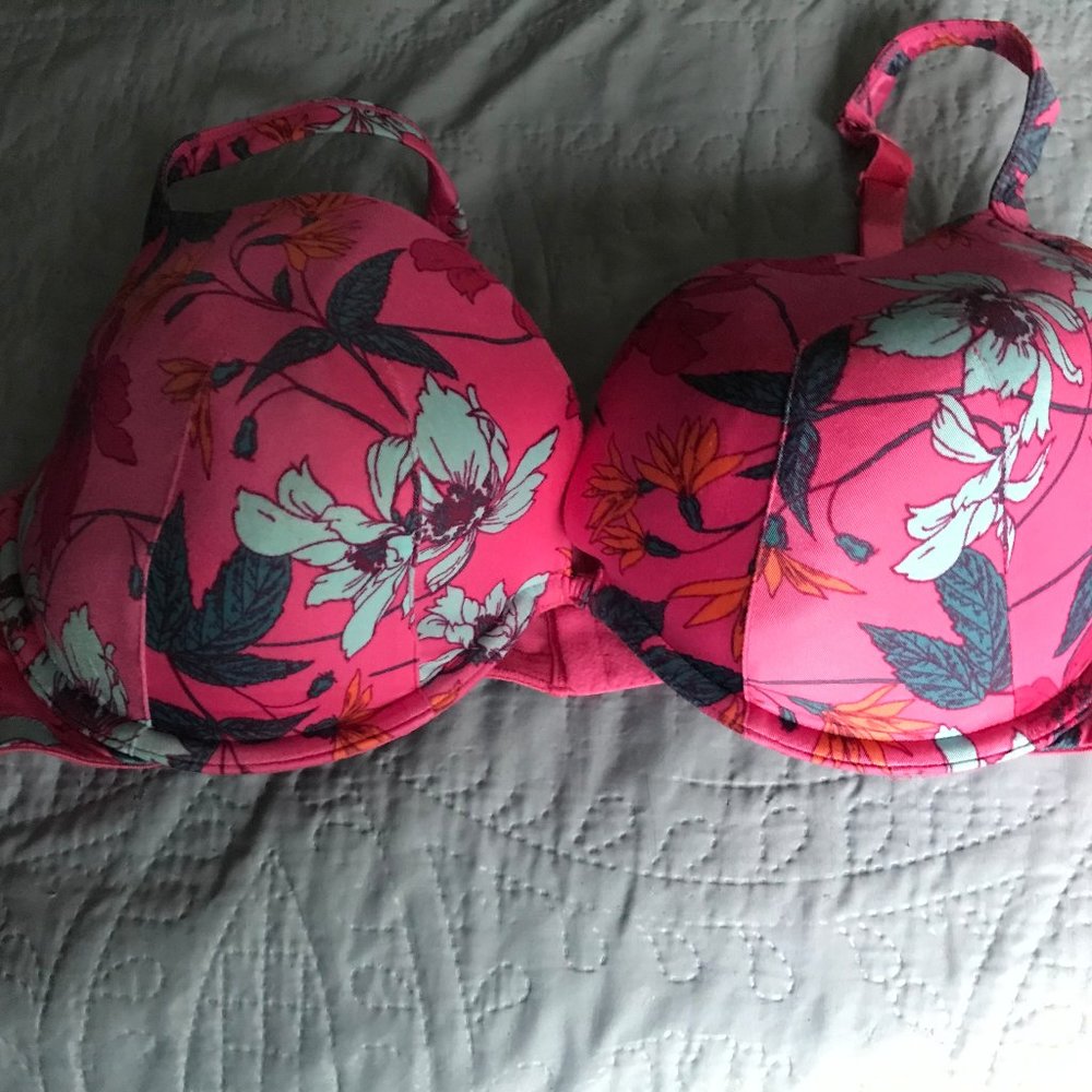 Cacique padded under-wire bra